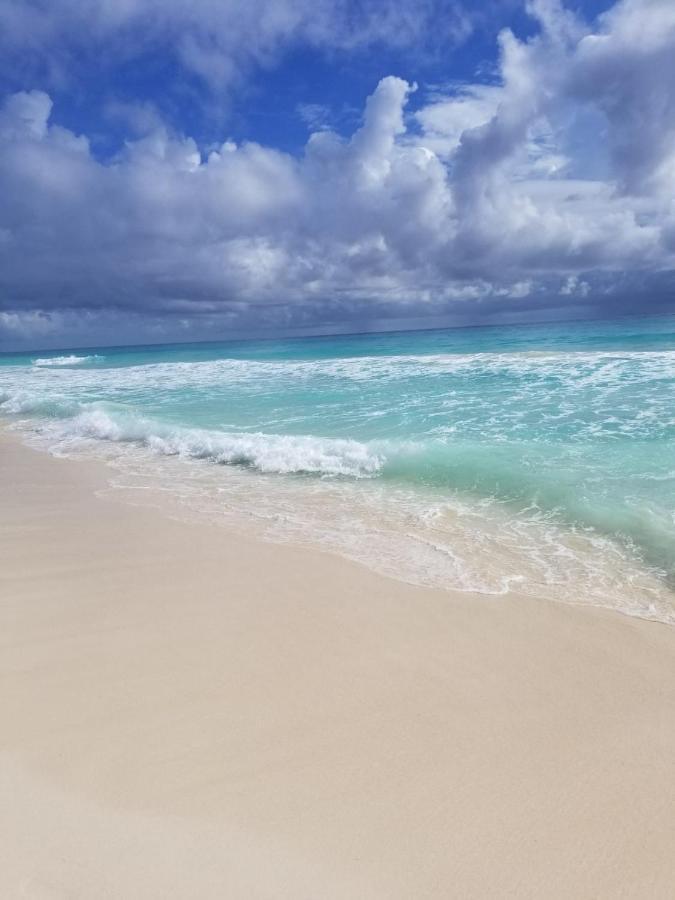Amazing Caribbean Ocean View At Villas Marlin In 坎昆 外观 照片